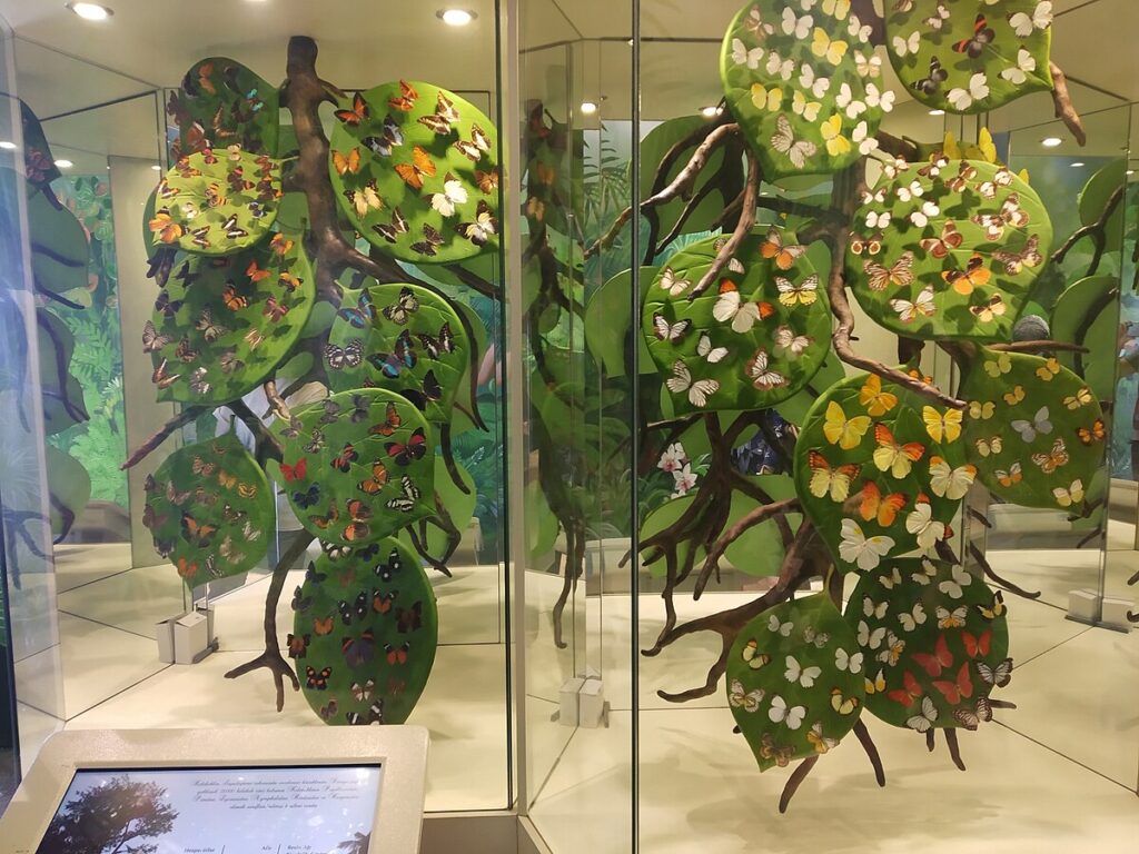 Konya gezilecek yerler